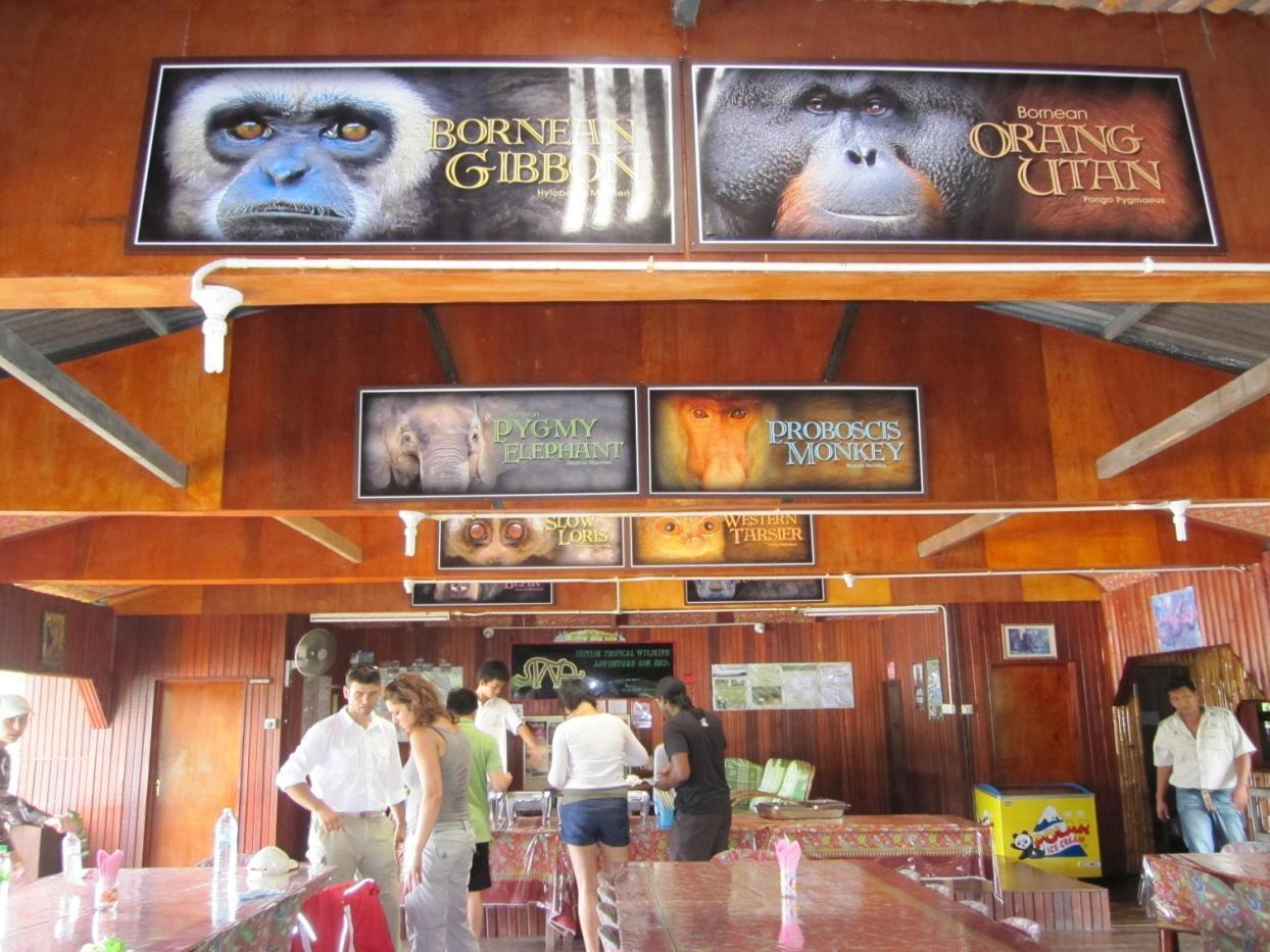 Bilit Adventure Lodge Exterior foto